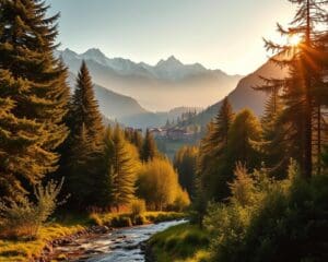 Österreich: Was bringt eine Detox-Woche?