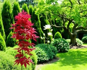 Welche Gartenbäume bleiben klein?