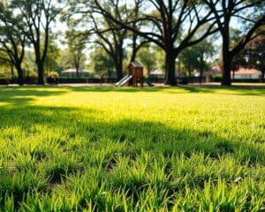 Welche Rasensorte eignet sich für Spielplätze?