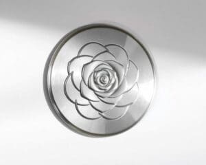 Welche Rosette ist die richtige für 22mm Rohre?