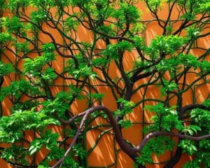 Welche Spalierbaumarten harmonieren mit Fassaden?