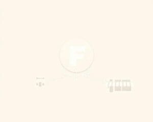 Wann lohnt sich ein Franchisesystem?