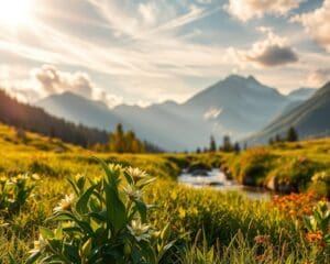 Was hilft fürs Immunsystem?