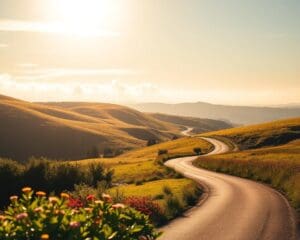 Wie verbessert man das Ranking einer Website langfristig?