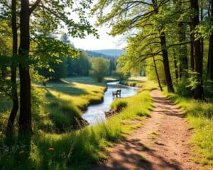Warum wirkt Natur so beruhigend?