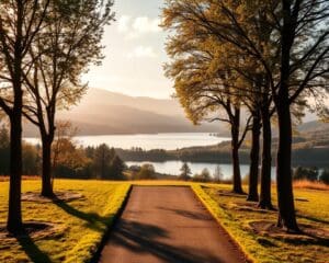 Welche Services fördern langfristige Stabilität?